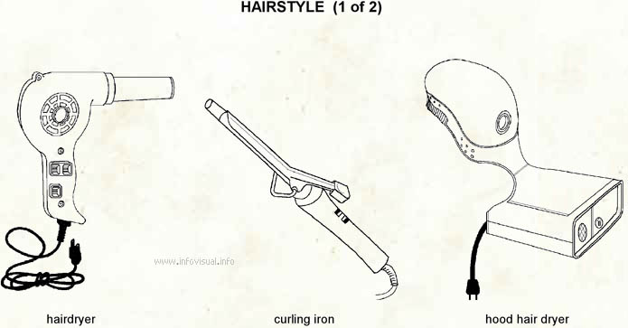 Hairstyle  (Visual Dictionary)